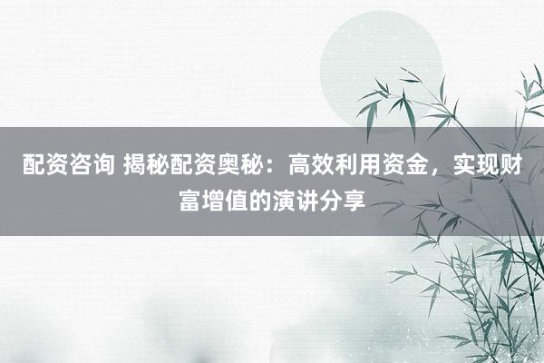 配资咨询 揭秘配资奥秘：高效利用资金，实现财富增值的演讲分享