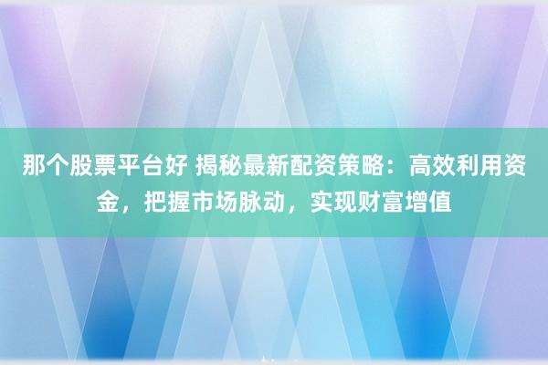 那个股票平台好 揭秘最新配资策略：高效利用资金，把握市场脉动，实现财富增值