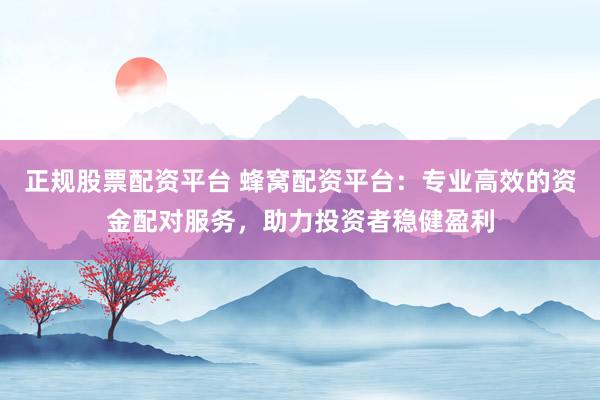 正规股票配资平台 蜂窝配资平台：专业高效的资金配对服务，助力投资者稳健盈利