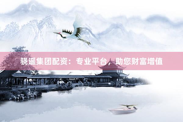 骁遥集团配资：专业平台，助您财富增值