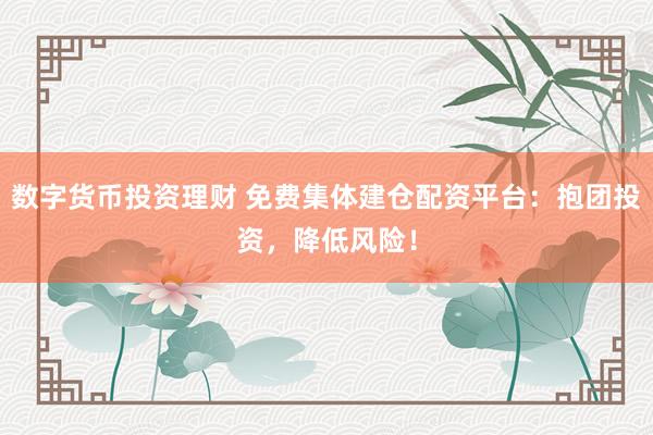 数字货币投资理财 免费集体建仓配资平台：抱团投资，降低风险！