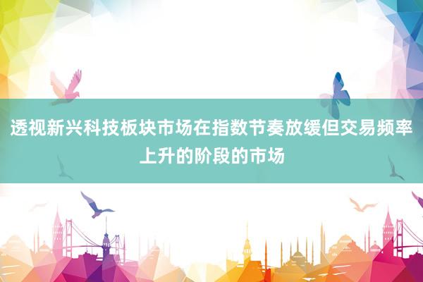 透视新兴科技板块市场在指数节奏放缓但交易频率上升的阶段的市场