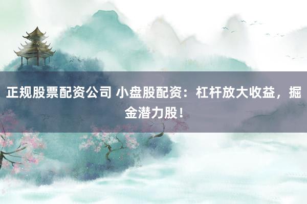 正规股票配资公司 小盘股配资：杠杆放大收益，掘金潜力股！